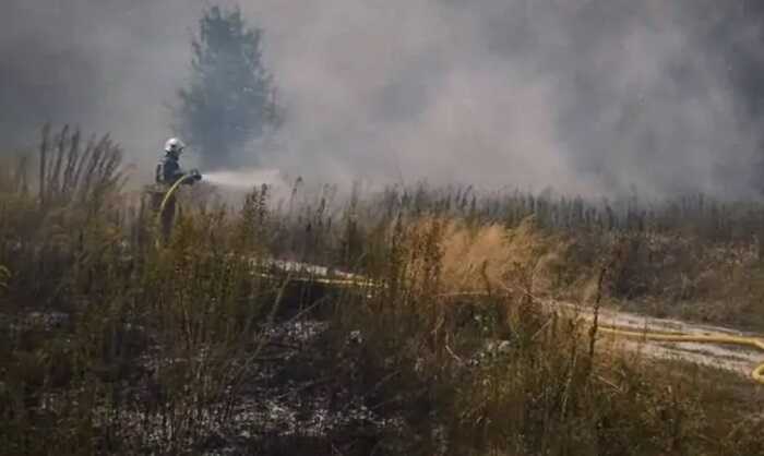 У Чорнобильській зоні спалахнула масштабна пожежа