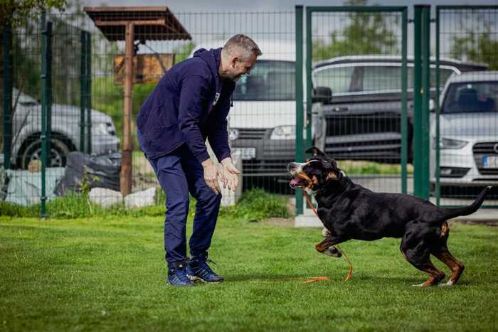 Президент Словаччини Пеллегріні із собакою всупереч заборонам засвітився у рекламі