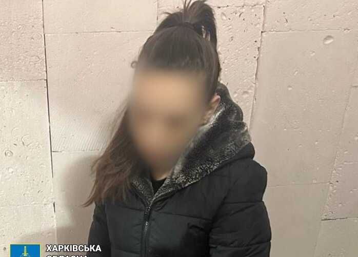 Жінку, яка намагалася продати свою двомісячну доньку за 20 тисяч доларів, засуджено до 8 років позбавлення волі